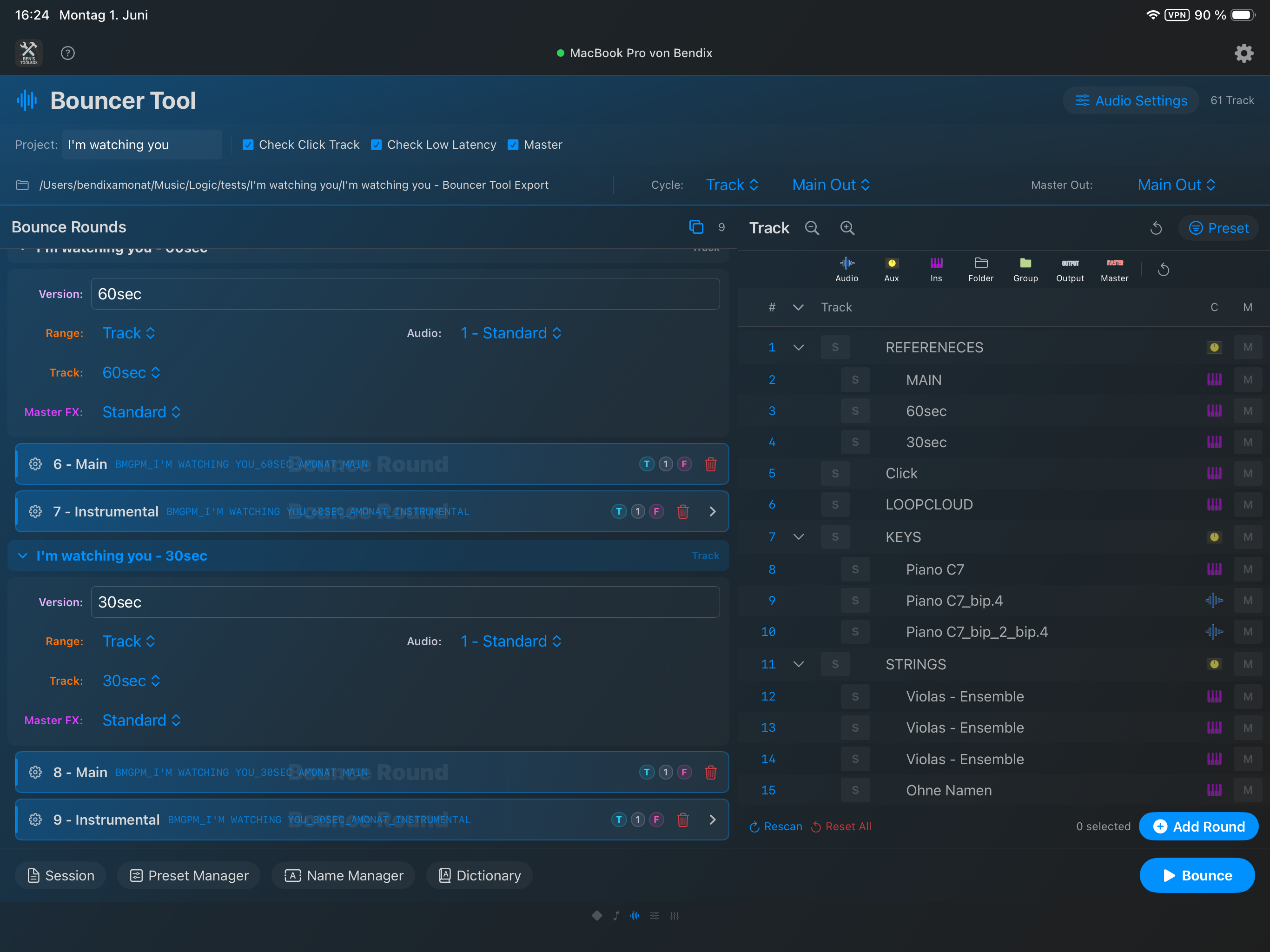 Geöffnete Bounce-Rounds auf dem iPad mit Tracklisten, Exportnamen und Entfernen-Buttons