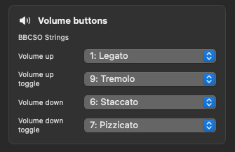 iPhone Motion Volume Buttons Einstellungen fuer Artikulationsslots